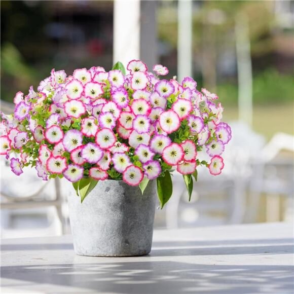 10 Bundles Morning Glory Artificial Flowers for Outdoor Decoration UV Resistant - Picture 7 of 8